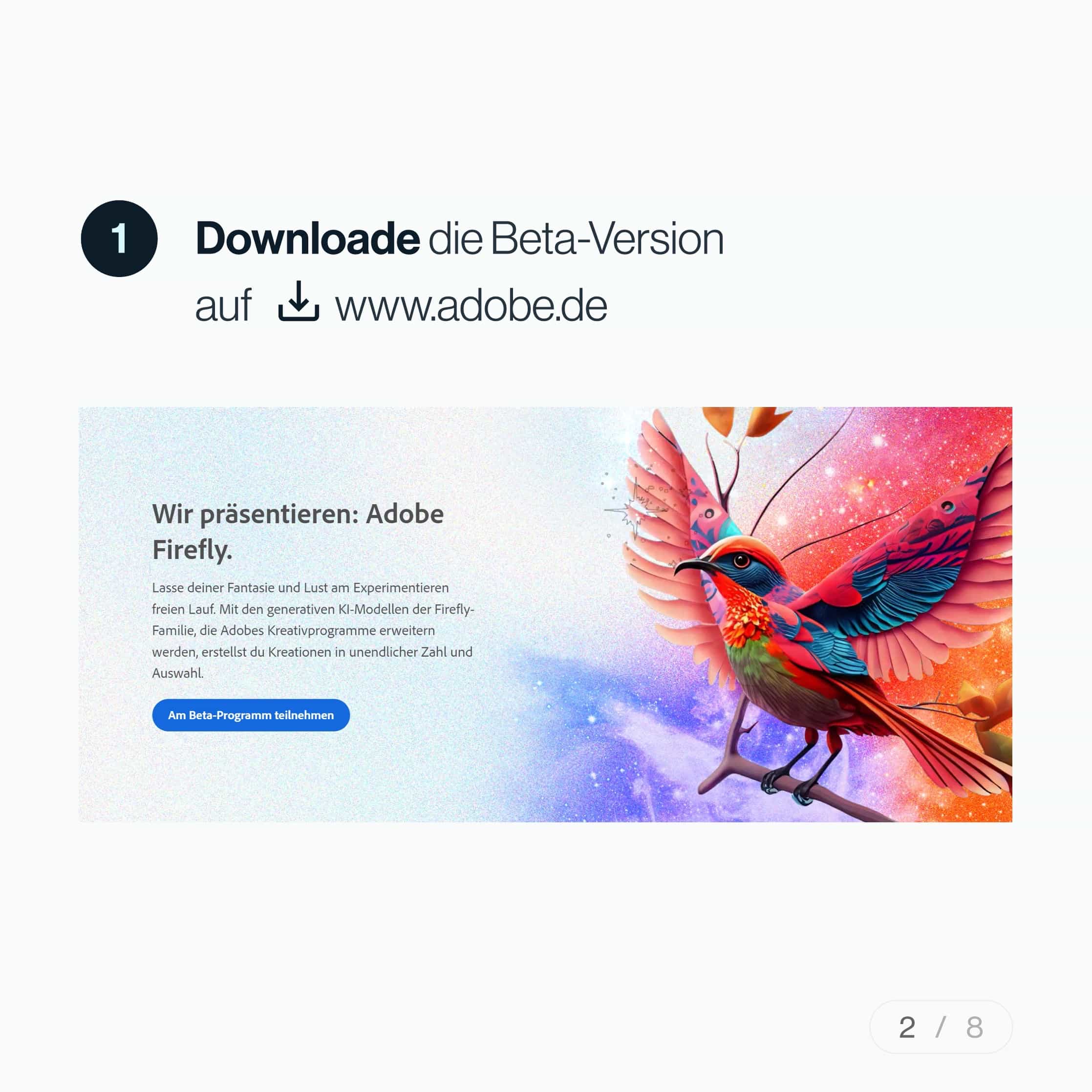 Adobe Firefly Beispielseite 2