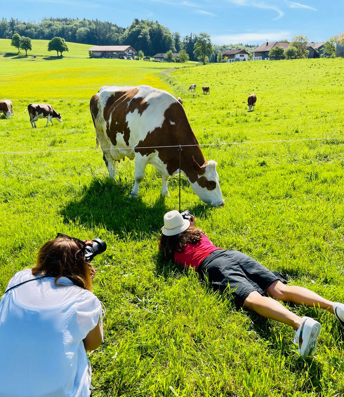 Teilnehmerinnen fotografieren aus flacher Perspektive im Gras liegend eine grasende Bergbauernkuh auf einer Weide vor Bauernhof-Kulisse.