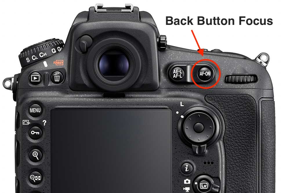 Back Button Focus – die flexible und treffsichere Fokus-Methode